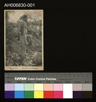 藏品(泰雅族男人明信片 (大正年))的圖片